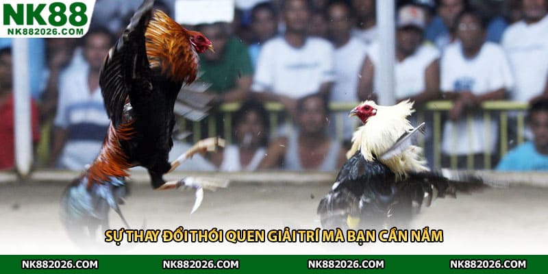 Sự thay đổi thói quen giải trí mà bạn cần nắm