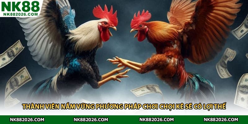 Thành viên nắm vững phương pháp chơi chọi kê sẽ có lợi thế