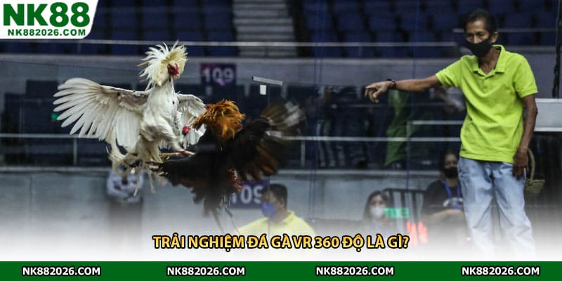 Trải nghiệm đá gà VR 360 độ là gì?